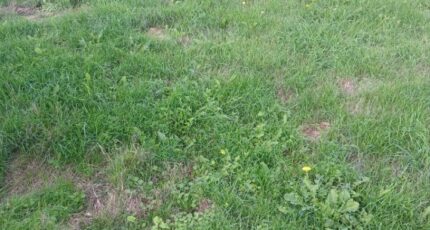 Huppy Maison neuve - 2639406-11934annonce120260918zvvhK.jpeg Maisons Les Naturelles