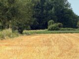 Maison à construire à Villers-sur-Authie (80120) 2641693-11934annonce120260921uNKPN.jpeg Maisons Les Naturelles