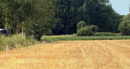 Villers-sur-Authie Maison neuve - 2641718-11934annonce120260921uNKPN.jpeg Maisons Les Naturelles
