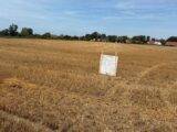 Maison à construire à Villers-sur-Authie (80120) 2641807-11934annonce220260921hJRiG.jpeg Maisons Les Naturelles