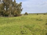 Maison à construire à Dominois (80120) 2642389-11934annonce120260921xXOnC.jpeg Maisons Les Naturelles