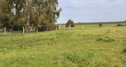 Dominois Maison neuve - 2642400-11934annonce120260921xXOnC.jpeg Maisons Les Naturelles