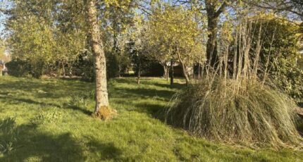 Vironchaux Maison neuve - 2642178-11934annonce220260921BEnsJ.jpeg Maisons Les Naturelles