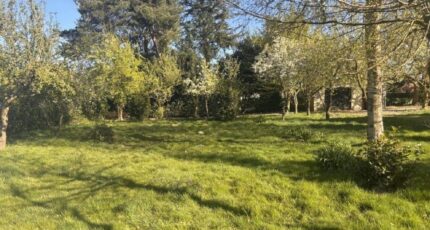 Vironchaux Maison neuve - 2642178-11934annonce120260921GRZw3.jpeg Maisons Les Naturelles