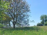 Maison à construire à Argoules (80120) 2643975-11934annonce120260922FhPTq.jpeg Maisons Les Naturelles