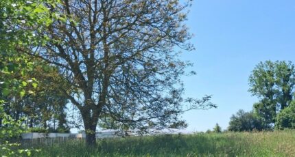 Argoules Maison neuve - 2643975-11934annonce120260922FhPTq.jpeg Maisons Les Naturelles