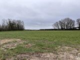 Maison à construire à Crécy-en-Ponthieu (80150) 2644284-11934annonce120260922ld2GI.jpeg Maisons Les Naturelles