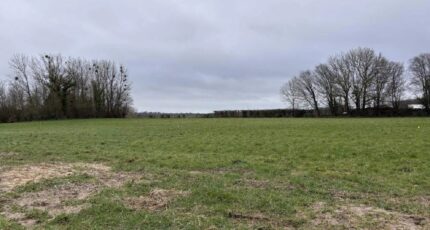 Crécy-en-Ponthieu Maison neuve - 2644284-11934annonce120260922ld2GI.jpeg Maisons Les Naturelles