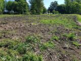 Maison à construire à Machy (80150) 2644053-11934annonce220260922O3aFD.jpeg Maisons Les Naturelles