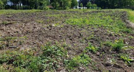 Machy Maison neuve - 2644053-11934annonce220260922O3aFD.jpeg Maisons Les Naturelles