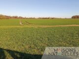 Maison à construire à Estréelles (62170) 2654682-10209annonce120260929eF6DE.jpeg Maisons Les Naturelles