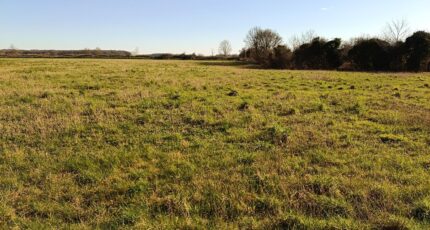 Recques-sur-Course Maison neuve - 2622481-10209annonce120260907L34Nq.jpeg Maisons Les Naturelles