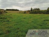 Maison à construire à Sempy (62170) 2622449-10209annonce120260907k5M4b.jpeg Maisons Les Naturelles
