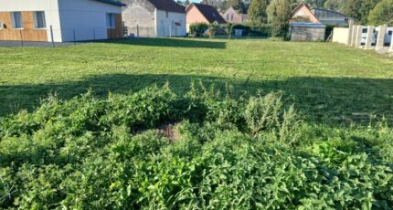 Saint-Riquier Maison neuve - 2637263-11934annonce120260924czKto.jpeg Maisons Les Naturelles