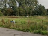 Maison à construire à Loon-Plage (59279) 2667044-11072annonce1202609098ch9Q.jpeg Maisons Les Naturelles