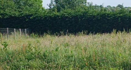 Mametz Maison neuve - 2667072-11072annonce120260909MIkSw.jpeg Maisons Les Naturelles