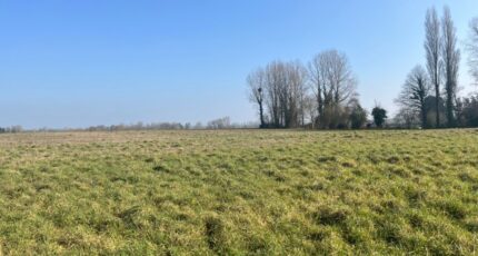 Rue Maison neuve - 2688815-5042annonce220261023wgxlq.jpeg Maisons Les Naturelles